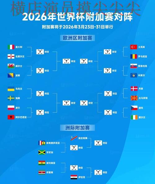 世界杯投注平台官网直达直播怎么看？全面分析给你答案（2026世界杯）